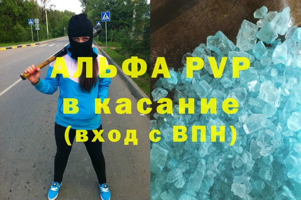 PSILOCYBIN Балабаново
